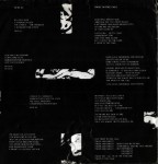 Sexual/Twist In The Tail: UK Decay; Fresh Records; front/rear spread,text detail 1